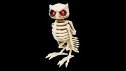 Skeleton Owl Animatronic with Sound - White