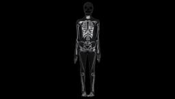 Skeleton Halloween Jumpsuit - Black/White