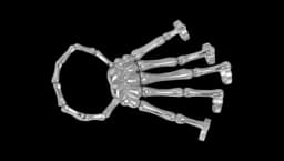 Adjustable Skeleton Ring Bracelet - Silver