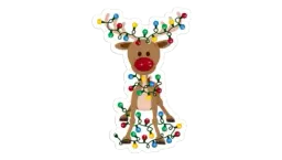 Reindeer Magnet