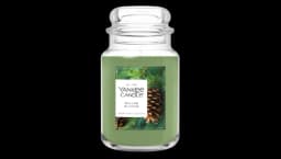 Balsam & Cedar Holiday Scented Candle