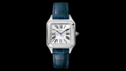 Santos Dumont WSSA0023