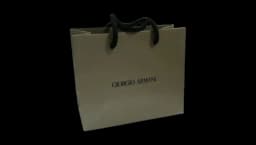 Shopping Gift Bag