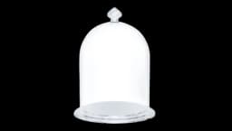 Bell Jar Display Small - Silver Tone