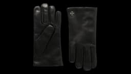 ERD Logo Embellished Leather Gloves - Black