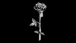 Rose Earring - Silver
