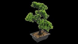 Artificial Pine Bonsai Tree Decor