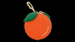 The SABRÉMOJI Fruit Coin Purse - Orange/Green