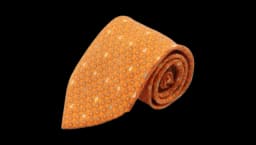 1910s Fruit Pattern Tie - Orange