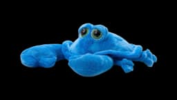 Crab Plush Toy - Blue