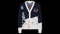 Holiday Scenic Relaxed Fit Cardigan - Multicolor