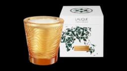 Jungle Voyage Scented Candle 750g