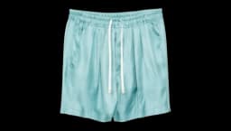 Pleated Silk Shorts - Teal Blue