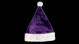 Santa Hat - Purple