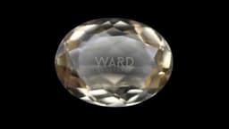 Citrine 22.6X17.2 Faceted Oval 27.39ct