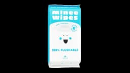 Flushable Mini Wipes Pack Of 48