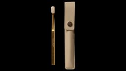 Leather Case & Toothbrush - Beige/Gold