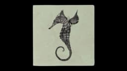 Seahorse Coaster