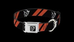 1.5" Demon Seatbelt Buckle Dog Collar
