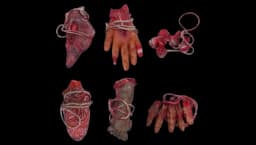 Halloween Fake Bloody Body Parts Prop Replica