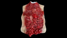 Bloody Intestine Zombie Torso Costume