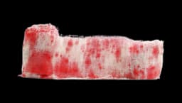 Bloody Bandages Prop Replica