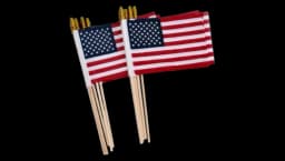 Small American Flags on Stick 12 Pack