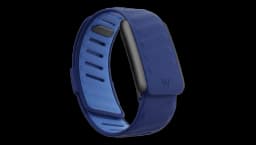 5.0 SportFlex Band - Rush