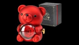 Cute Teddy Bear with Preserved Rose - Red