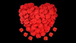 Artificial Silk Rose Petals Decoration 1200Pcs - Red