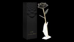 Black&Gold Dipped Rose - 24k Gold Plated