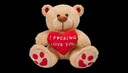 Plush Stuffed Teddy Bear 10" - Multicolor