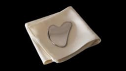 Stainless Steel Gua Sha Face Massager