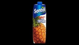Santal Fruit Juice Pineapple 1L