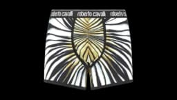 Graphic Print Boxer Briefs - White/Black/Gold