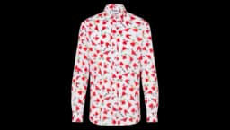 Lightweight Cotton Poplin Shirt with Print - Multicolor