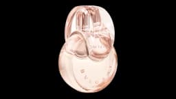 Omnia Crystalline Eau De Parfum 100ml
