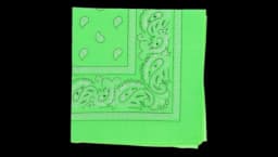 Neon Cotton Paisley Bandana 22" - Green