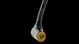 Blackthorn Shilleagh