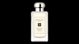 Blue Agava & Cacao Cologne 100ml