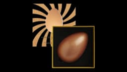The Treasure Egg 400g