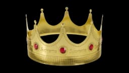 Gold Crown - Multicolor