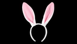 Soft-Touch Bunny Ears - White/Pink