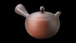 Tokoname Youhen Clay Kyusu Japanese Teapot 350ml
