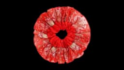 Olé Olé Frill Edge Scrunchie - Red