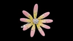 Floral Embellished Hair Clip - Pink Green