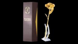 Dipped Real Rose - 24K Gold