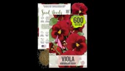 Arkwright Ruby Viola Seeds - 600 Heirloom Seeds for Planting