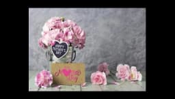 Mother's Day Backdrops Pink Carnation