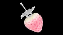 Strawberry Pavé Gemstone Earring - Silver-Tone